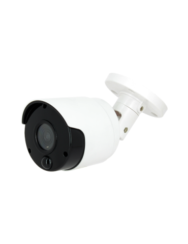 Caméra de surveillance factice | type tube