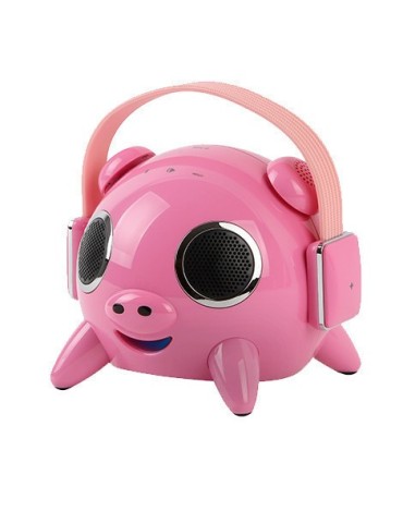Enceinte/Haut-parleur portable Bluetooth Rose - NFC Stéréo avec Subwoofer - B-PIG