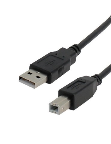 Cordon Usb 2.0 Hi-speed Type A/b Mâle/mâle - 1 mètre