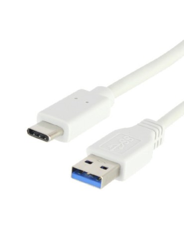 Cordon USB-C? SuperSpeed blanc pour charge et synchronisation 1 mètre - FUJIONKYO - 423400