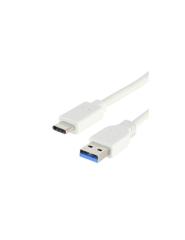 Cordon USB-C? SuperSpeed blanc pour charge et synchronisation 1 mètre - FUJIONKYO - 423400