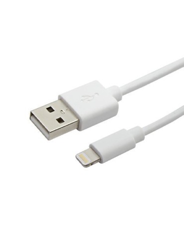 Cordon Lightning USB MFi blanc pour charge et synchronisation 1 mètre - FUJIONKYO - 423800