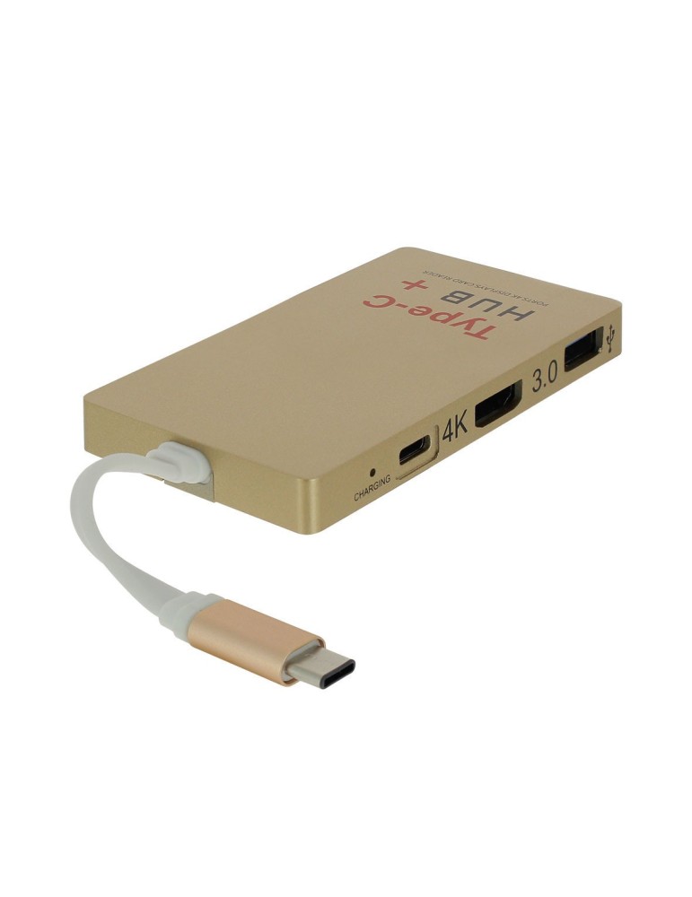 Station d'accueil intelligente + lecteur multicarte 5 en 1 USB-C?/USB Type-C vers SD / HDMI / 2 x USB 3.0