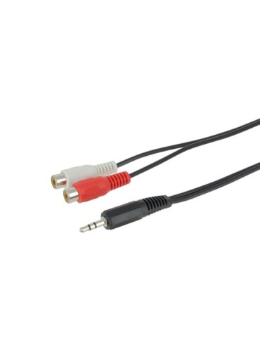 Cordon Jack 3,5 vers 2 RCA stéréo mâle/femelles 1,50 mètre - FUJIONKYO - 424725