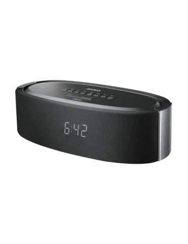 Enceinte Bluetooth Haute Puissance avec Fonction Radio Réveil