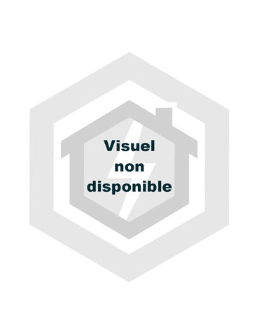 Disjoncteur 1P+N 20A courbe C connexion vis/vis 3kA NF