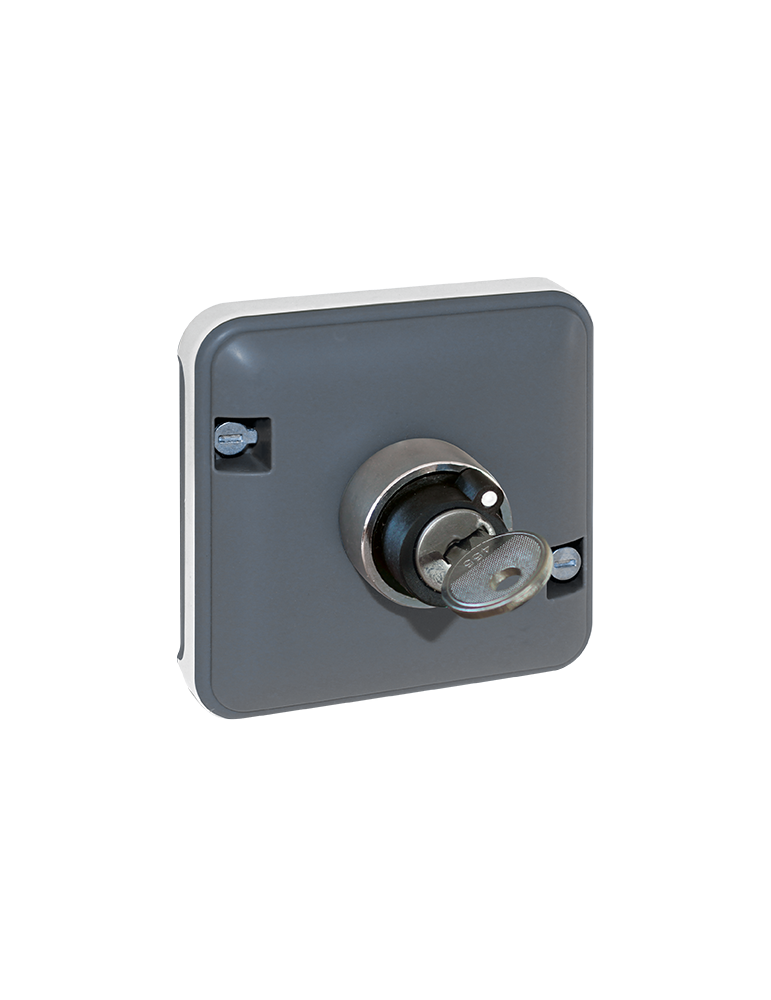 OXXO Inter à clef 2 poscompos GRIS IP55