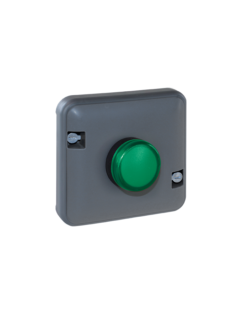 OXXO Voyant vert compos GRIS IP55